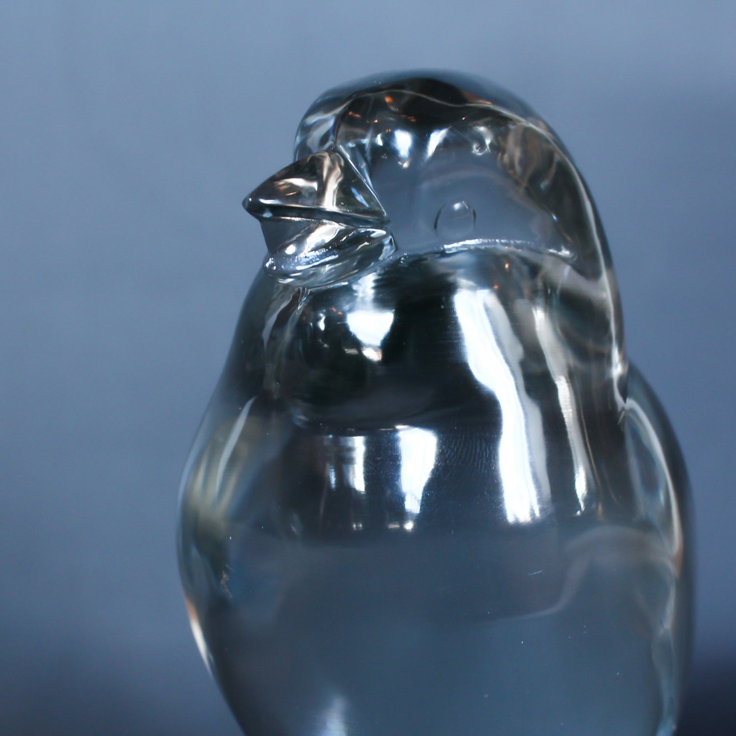 Glass Paperweight