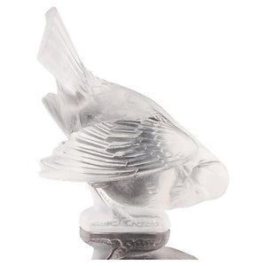 Moineau Coquet