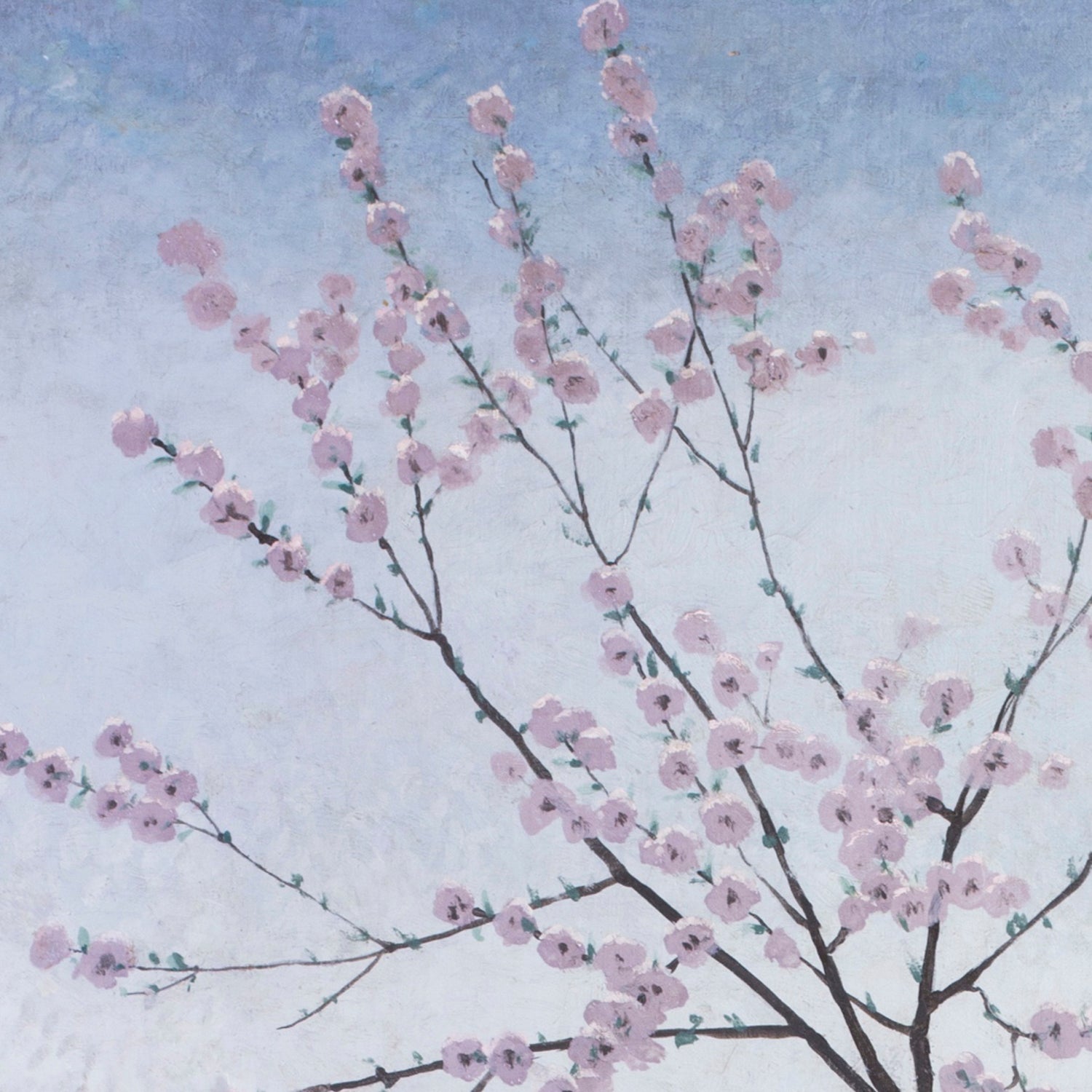 Arcadian Spring